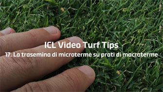 17 | Come preparare la trasemina di microterme su prati di macroterme – Video Turf Tips