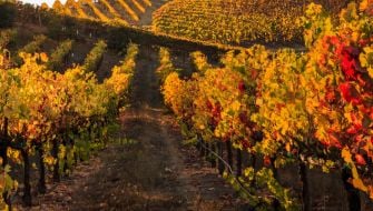La concimazione autunnale post-raccolta