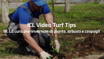 18 | La cura pre-invernale di piante, arbusti e cespugli – Video Turf Tips