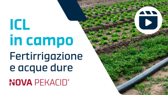 Fertirrigazione e acque dure: come superare le difficoltà