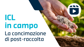La concimazione di post raccolta