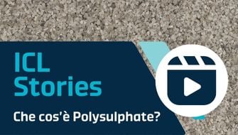 Che cos’è Polysulphate?