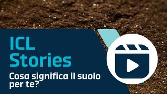 Giornata mondiale del suolo 2024
