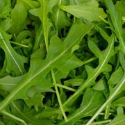 Crop image