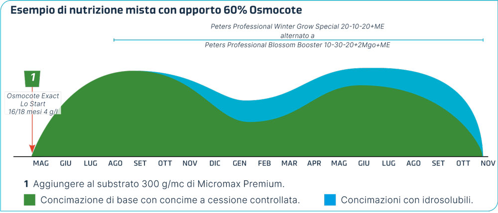 Grafico con esempio di nutrizione mista con Osmocote per la Camellia