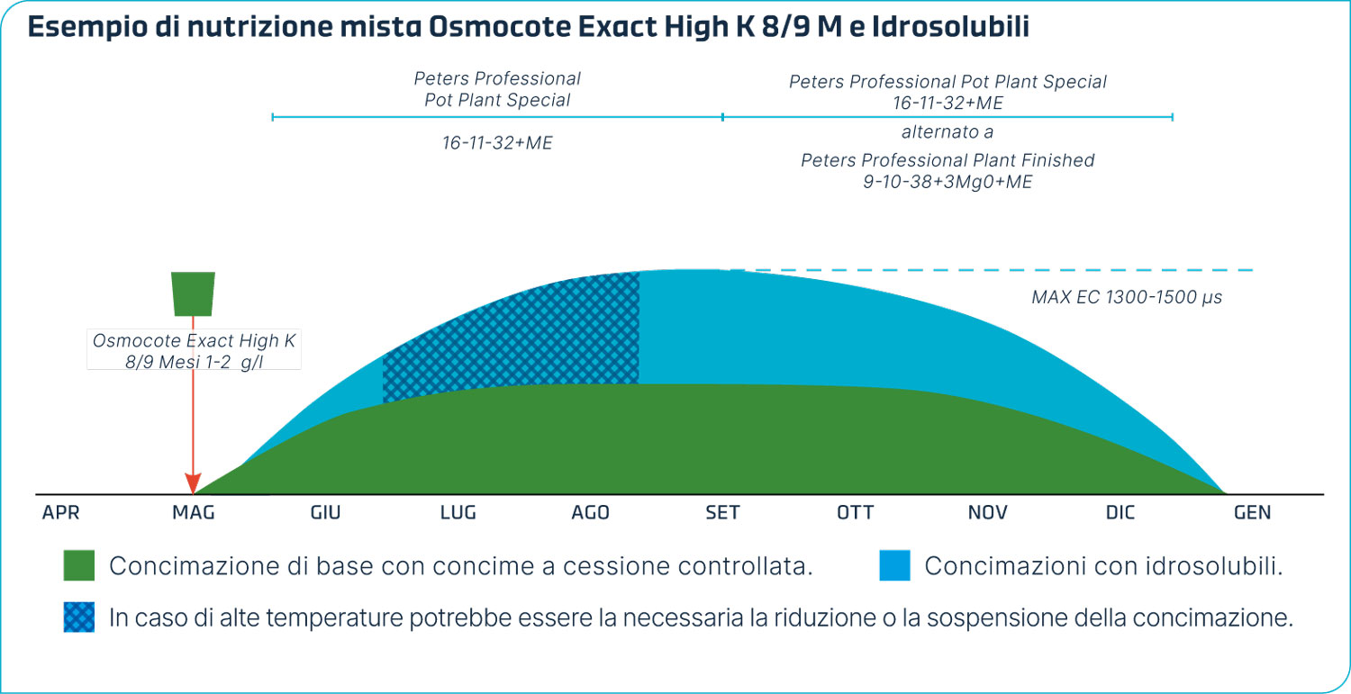 Grafico con esempio di nutrizione mista CRF e idrosolubili per Cyclamen persicum