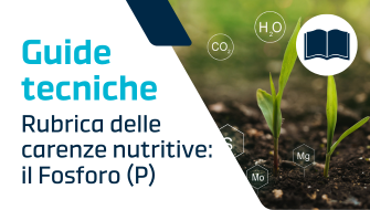 Carenza di Fosforo (P): come riconoscerla, sintomi, cause e cura