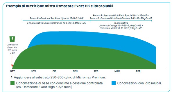 Grafico con esempio di nutrizione mista CRF e idrosolubili per la Primula obconica