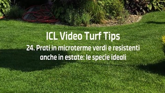 24 | Prati in microterme resistenti anche in estate: le specie ideali – Video Turf Tips