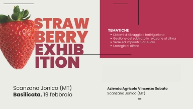 Strawberry Exhibition 2026