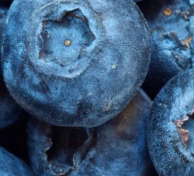 Proef blauwe bes met Agrolution pHLow