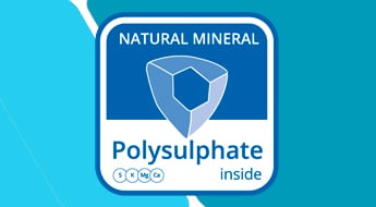 Polysulphate: meststoffen op basis van polyhaliet