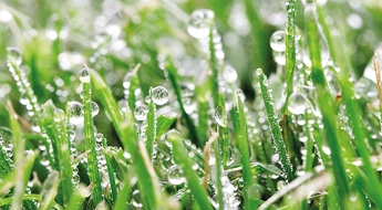 Watermanagement