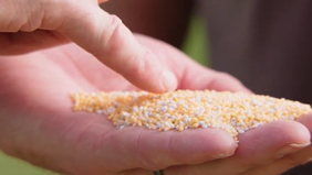 Dr. Andy Owen over duurzaam grasbeheer (video) Deel 4