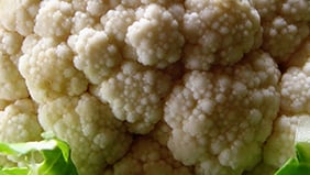 Polysulphate geeft brassicagewassen een boost