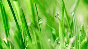 Innovaties in gazonvoeding focussen op N-technologieën
