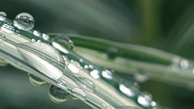 Bemesting, neerslag en irrigatie optimaliseren