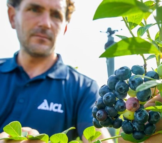 Zachtfruit & houtig kleinfruit