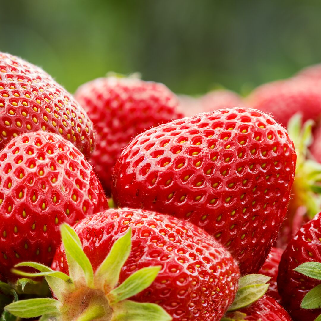 Ontmoet ICL op de Aardbeiendag & ISFC 2026