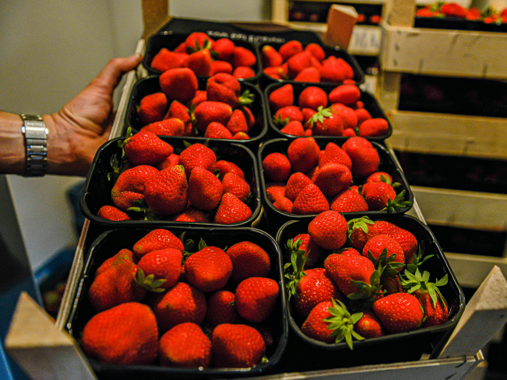 aardbei