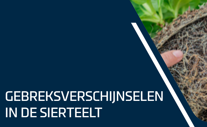 Gebrekssymptomen bij planten in de sierteelt