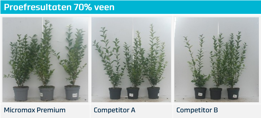 De proefresultaten van de Ligustrum ovalifolium met 70% veen substraten uit de Micromax Premium proef van de Osmocote Experience 2024