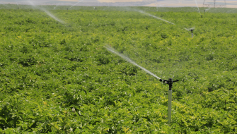 Advies: Effectiever irrigeren bij een droog voorjaar met H2Flo