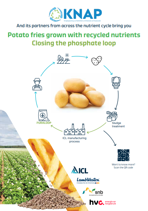 Puraloop geteelde aardappelen in Knap project (alt) / Circulaire bemesting in Puraloop Knap Project
