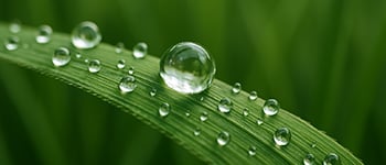Verbetering van het watermanagement bij Goswick