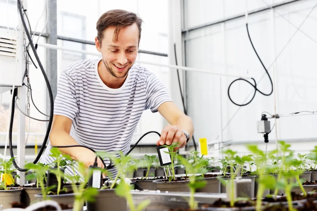 Stef Maree onderzoeker WUR. Boomkwekerijen kunnen afkijken van de autonome teelt in kassen. Innovatie in boomkwekerijen. Autonoom teelt voor vollegrond kwekerijen