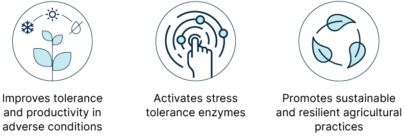 Three icons illustrating improved plant tolerance and productivity in adverse conditions, activation of stress tolerance enzymes, and promotion of sustainable and resilient agricultural practices.
