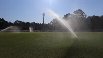 How to manage your turf in winter