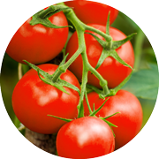 Crop image