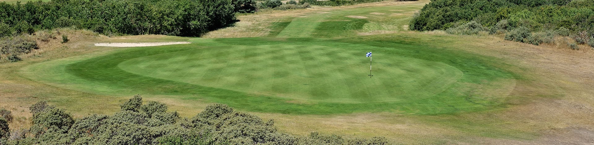 ITM can reduce Dollar spot on turf