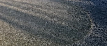 Early season recovery nutrition on golf greens trial #2
