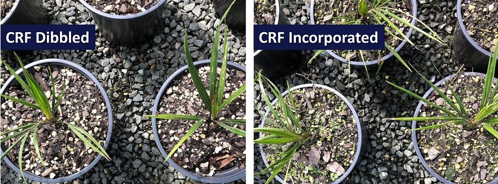 How to Ensure Optimum Growth and Profitability in Nursery Production