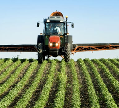 Agroleaf Liquid Balance на картоплі