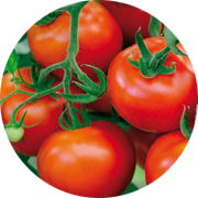 Crop image