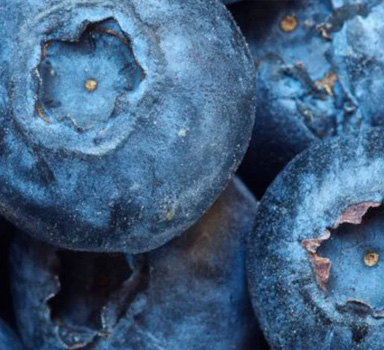 Ensayos de Agrolution pHLow con Blueberry en Polonia