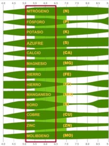 Fig. 1. Disponibilidad de los nutrientes de acuerdo al pH del agua. Taiz y Zeiger, 2010.