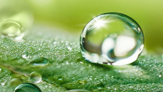 La Calidad del Agua de Riego y su Repercusión en los Cultivos