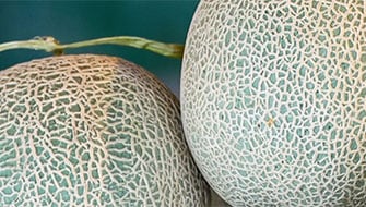Melón