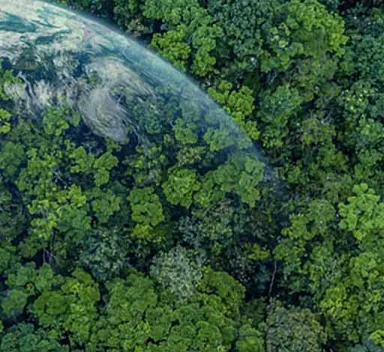 La Nueva Iniciativa de ICL Destaca los Productos con Bajas Emisiones de Carbono