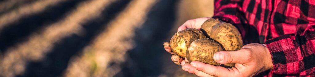 Desempeño Superior con Fertilizantes de Liberación Controlada
