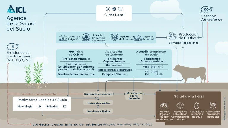 Agenda para la salud del suelo