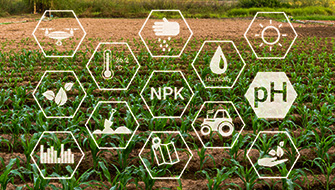 Fertilizantes NPK, lo que todo mundo debe saber.