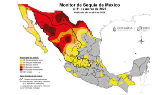 El impacto de la sequía en la agricultura mexicana