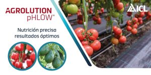Nutrición precisa con ICL