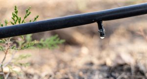 ¿Qué Son los Carbonatos y Bicarbonatos en el Agua de Riego