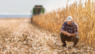 7 razones por las que Polysulphate<sup>®</sup> es el fertilizante de azufre perfecto para el otoño